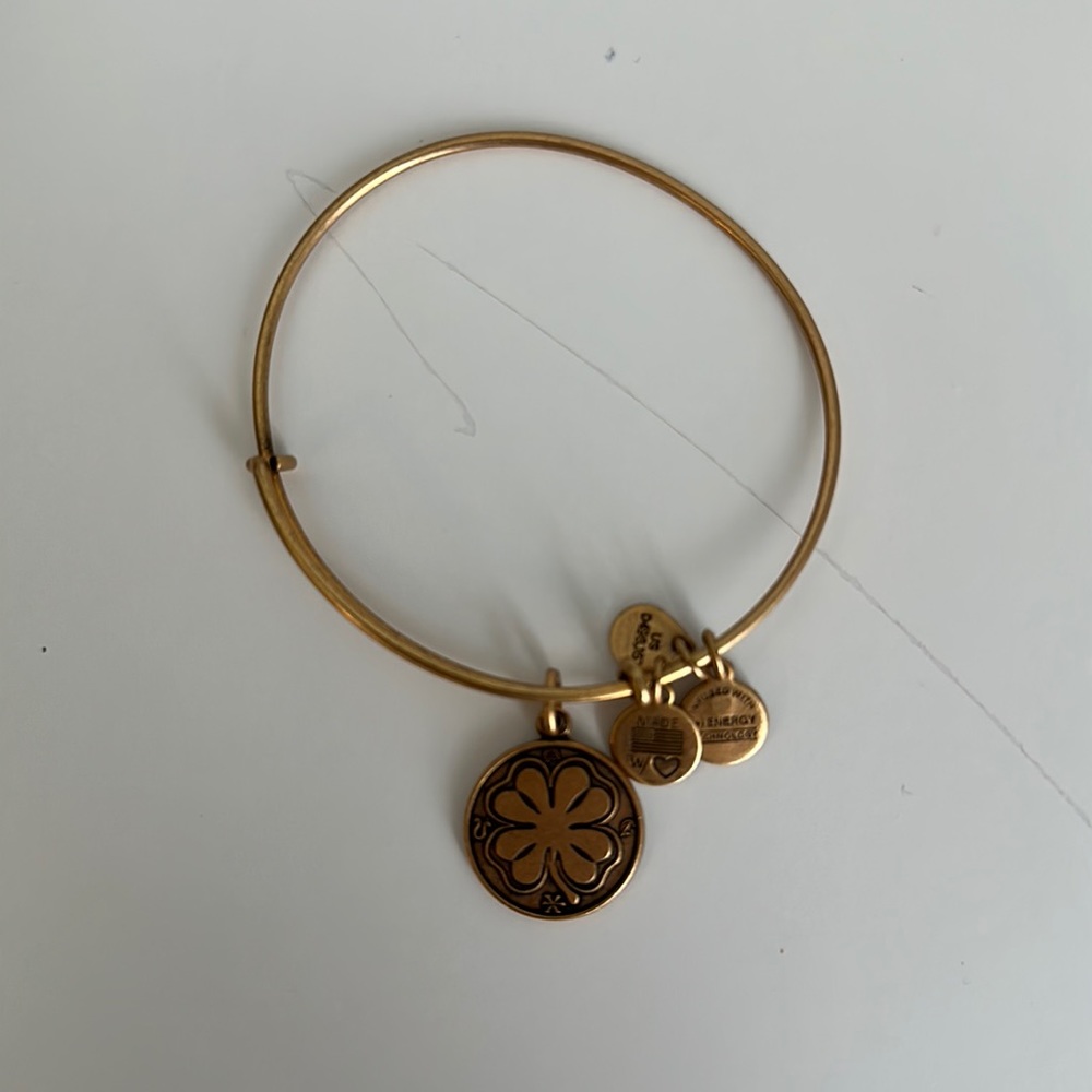 ALEX AND ANI